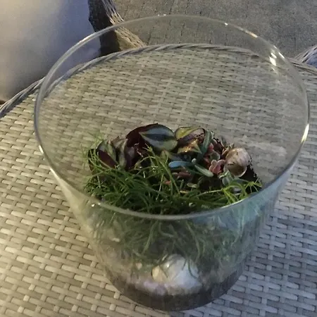 Silence Baltic Lazur Apartament *