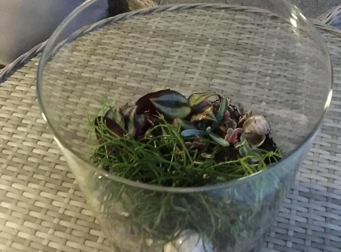 Silence Baltic Lazur Апартаменты *